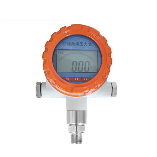 explosion-proof digital pressure gauge